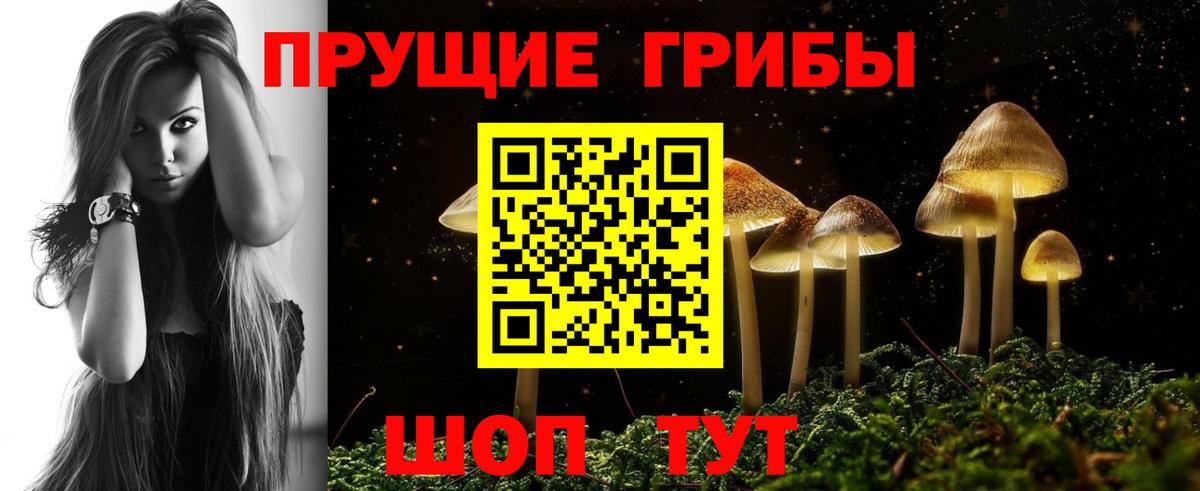 Псилоцибиновые грибы мухоморы Псков