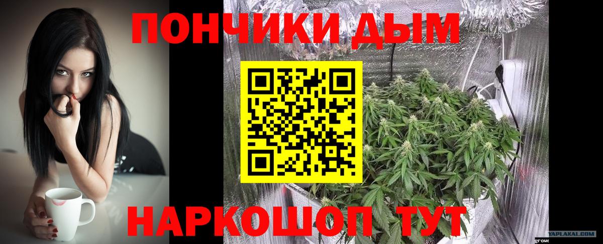 Шишки марихуана гибрид  Вход с VPN  Псков  Конопля SATIVA & INDICA  Шишки марихуана семена 